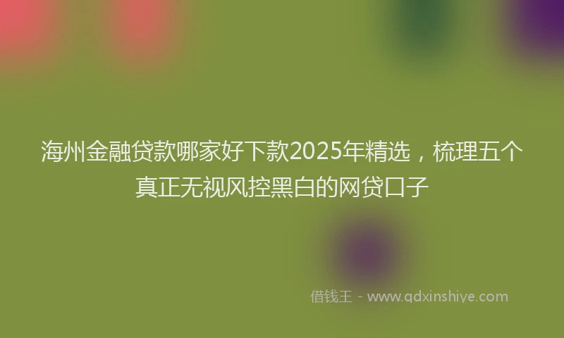 海州金融贷款哪家好下款2025年精选，梳理五个真正无视风控黑白的网贷口子