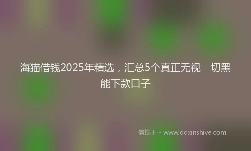 海猫借钱2025年精选，汇总5个真正无视一切黑能下款口子