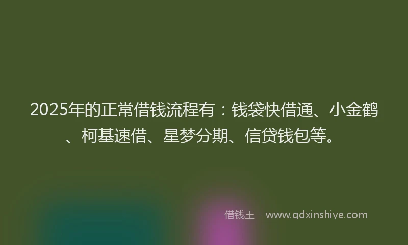 2025年的正常借钱流程有：钱袋快借通、小金鹤、柯基速借、星梦分期、信贷钱包等。