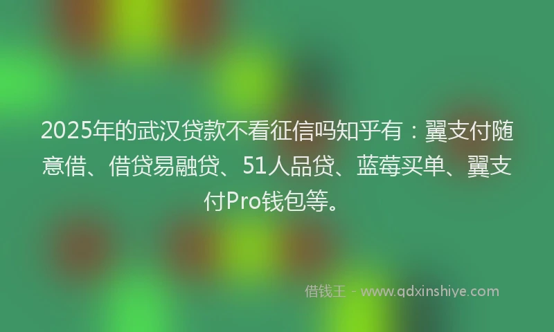 2025年的武汉贷款不看征信吗知乎有：翼支付随意借、借贷易融贷、51人品贷、蓝莓买单、翼支付Pro钱包等。