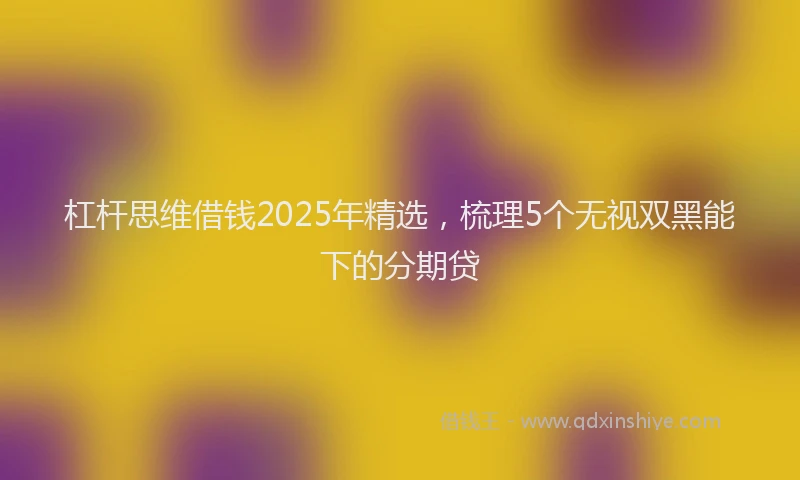 杠杆思维借钱2025年精选，梳理5个无视双黑能下的分期贷