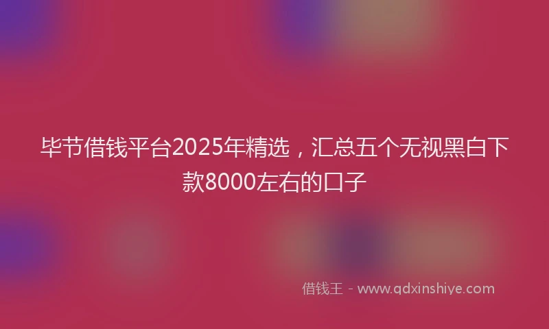 毕节借钱平台2025年精选，汇总五个无视黑白下款8000左右的口子