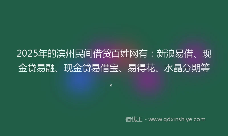 2025年的滨州民间借贷百姓网有：新浪易借、现金贷易融、现金贷易借宝、易得花、水晶分期等。