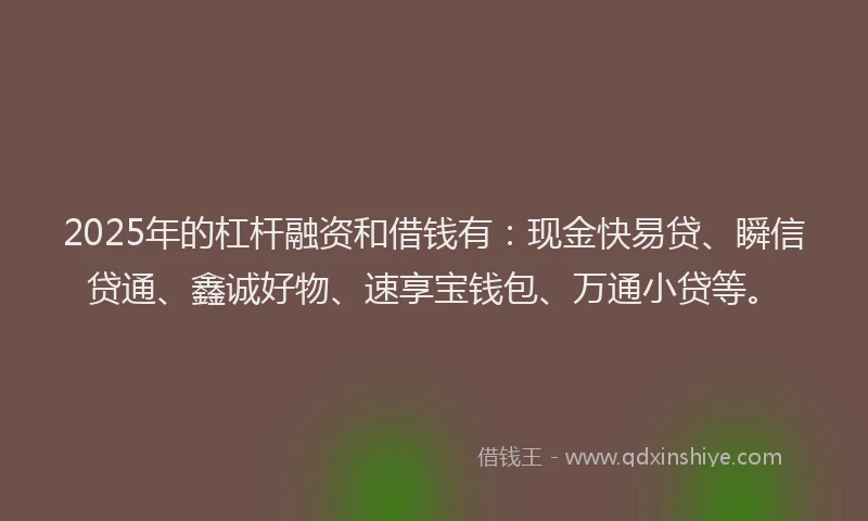 2025年的杠杆融资和借钱有：现金快易贷、瞬信贷通、鑫诚好物、速享宝钱包、万通小贷等。