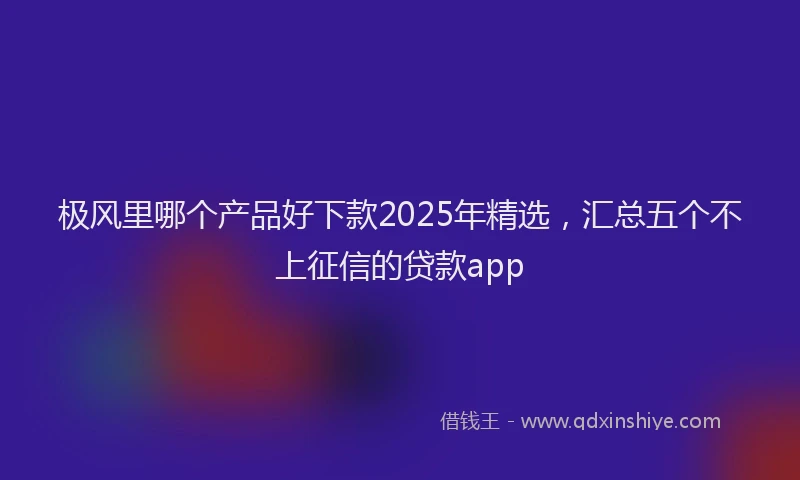 极风里哪个产品好下款2025年精选，汇总五个不上征信的贷款app