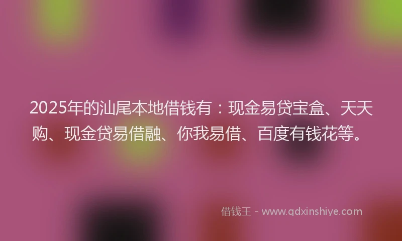 2025年的汕尾本地借钱有：现金易贷宝盒、天天购、现金贷易借融、你我易借、百度有钱花等。