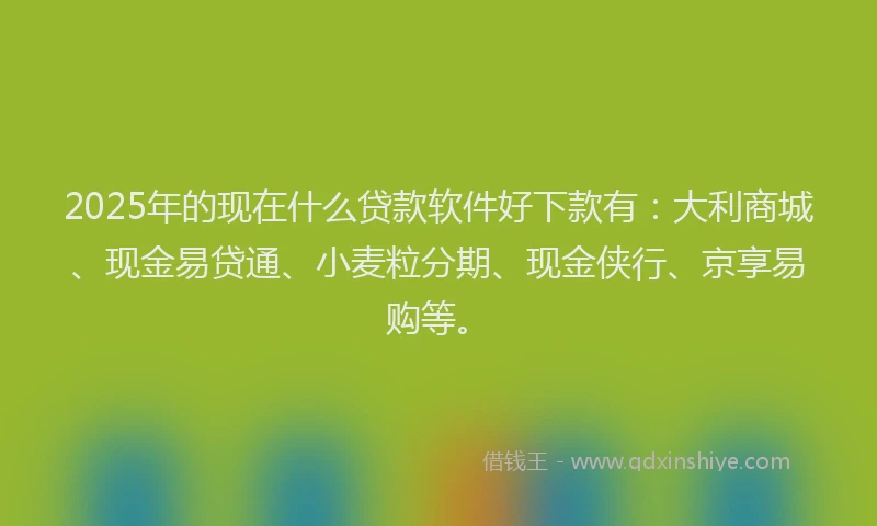 2025年的现在什么贷款软件好下款有：大利商城、现金易贷通、小麦粒分期、现金侠行、京享易购等。