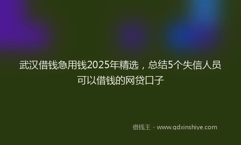 武汉借钱急用钱2025年精选，总结5个失信人员可以借钱的网贷口子