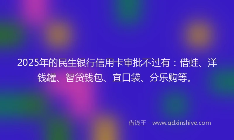 2025年的民生银行信用卡审批不过有：借蛙、洋钱罐、智贷钱包、宜口袋、分乐购等。