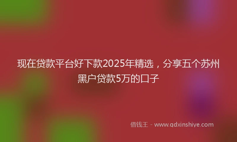 现在贷款平台好下款2025年精选，分享五个苏州黑户贷款5万的口子
