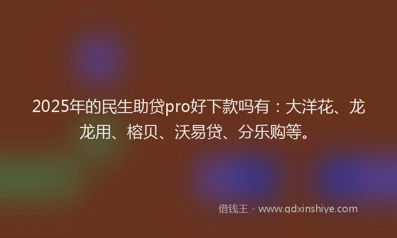 2025年的民生助贷pro好下款吗有：大洋花、龙龙用、榕贝、沃易贷、分乐购等。