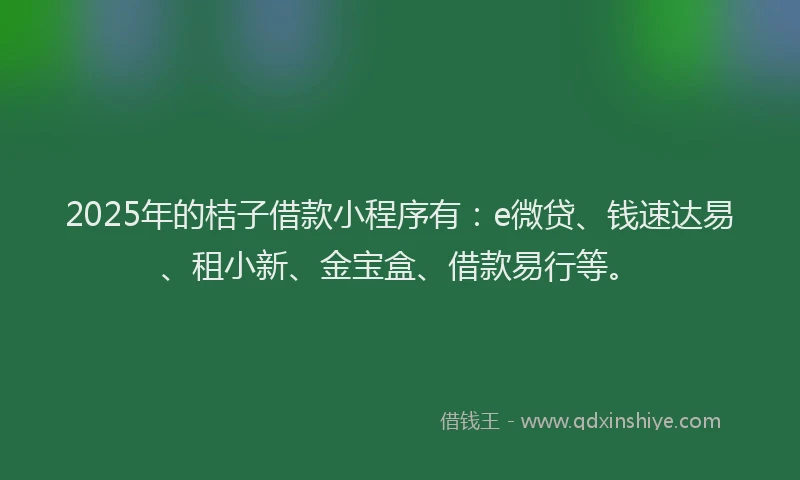 2025年的桔子借款小程序有：e微贷、钱速达易、租小新、金宝盒、借款易行等。