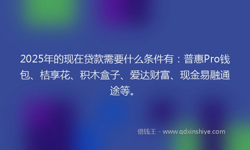 2025年的现在贷款需要什么条件有：普惠Pro钱包、桔享花、积木盒子、爱达财富、现金易融通途等。