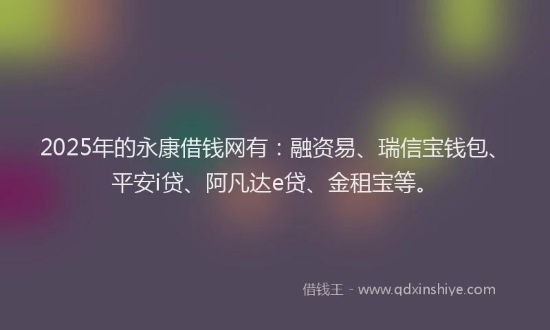 2025年的永康借钱网有：融资易、瑞信宝钱包、平安i贷、阿凡达e贷、金租宝等。