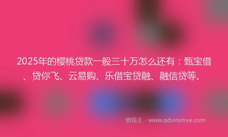 2025年的樱桃贷款一般三十万怎么还有：甄宝借、贷你飞、云易购、乐借宝贷融、融信贷等。