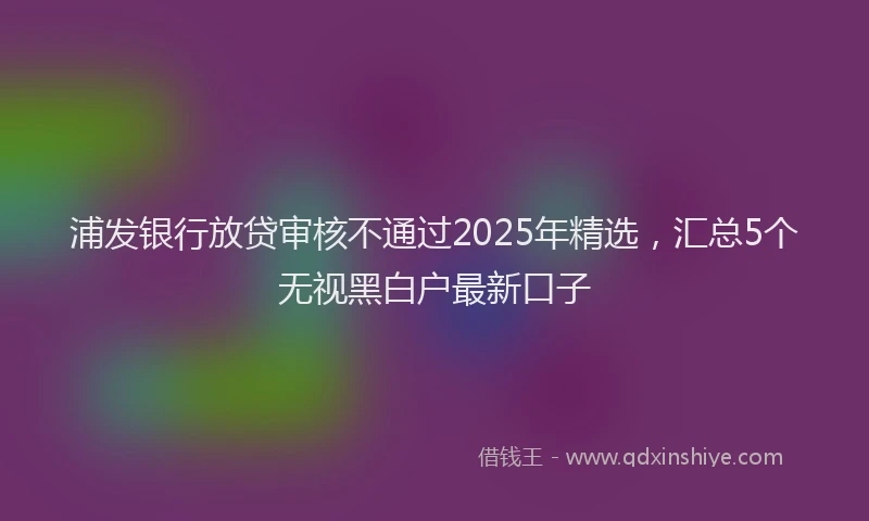 浦发银行放贷审核不通过2025年精选，汇总5个无视黑白户最新口子