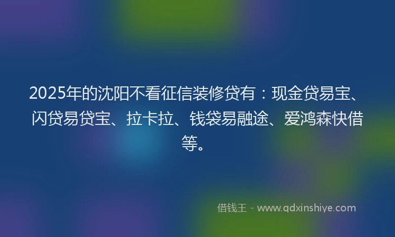 2025年的沈阳不看征信装修贷有：现金贷易宝、闪贷易贷宝、拉卡拉、钱袋易融途、爱鸿森快借等。