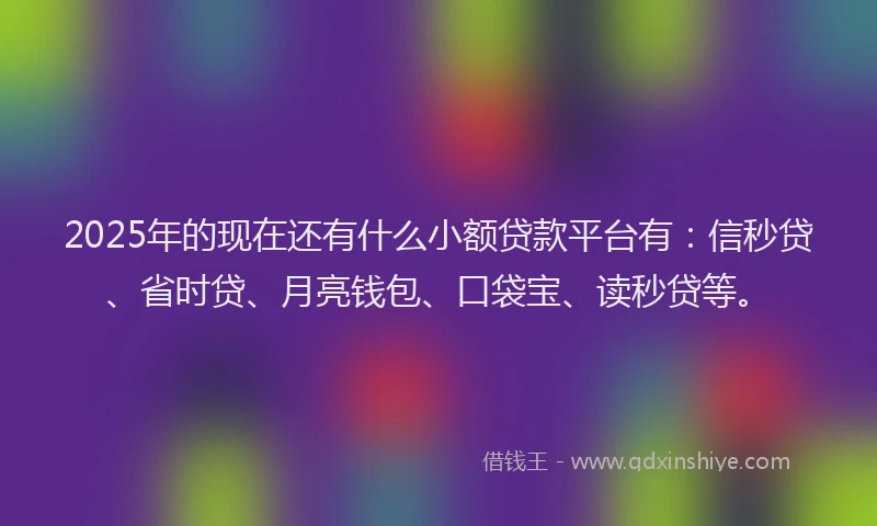 2025年的现在还有什么小额贷款平台有：信秒贷、省时贷、月亮钱包、口袋宝、读秒贷等。