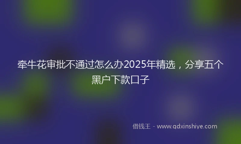 牵牛花审批不通过怎么办2025年精选，分享五个黑户下款口子