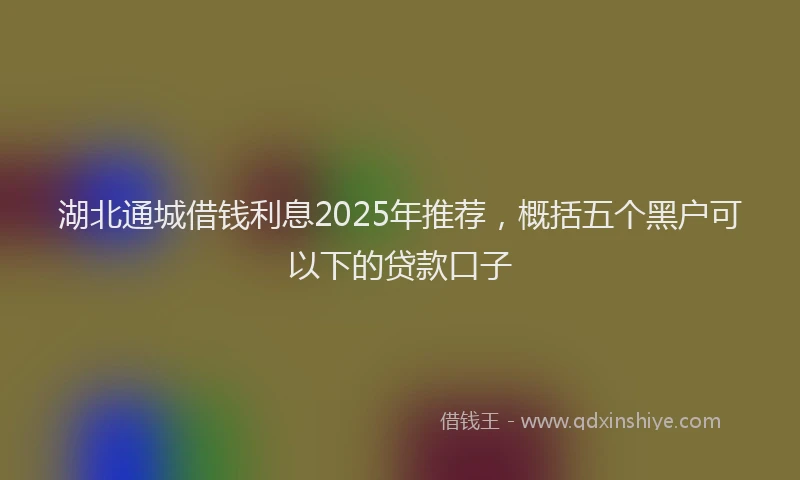 湖北通城借钱利息2025年推荐，概括五个黑户可以下的贷款口子