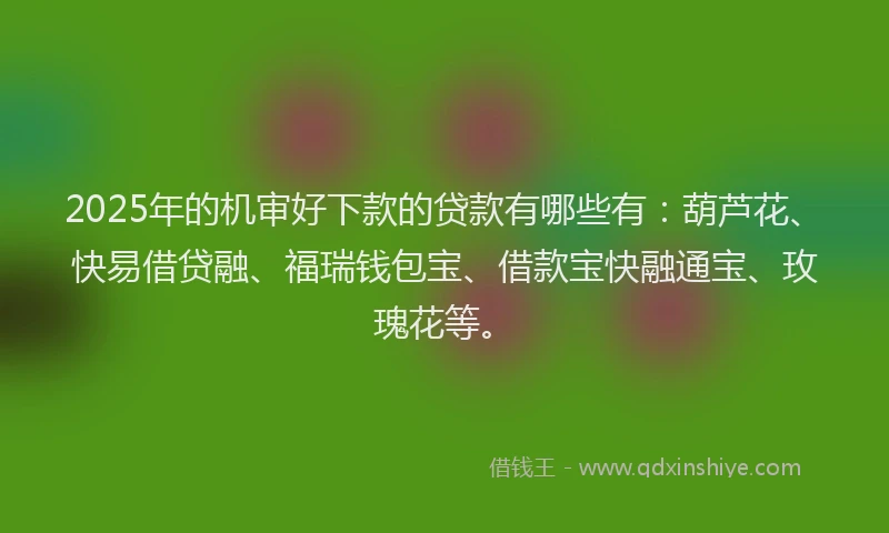 2025年的机审好下款的贷款有哪些有：葫芦花、快易借贷融、福瑞钱包宝、借款宝快融通宝、玫瑰花等。