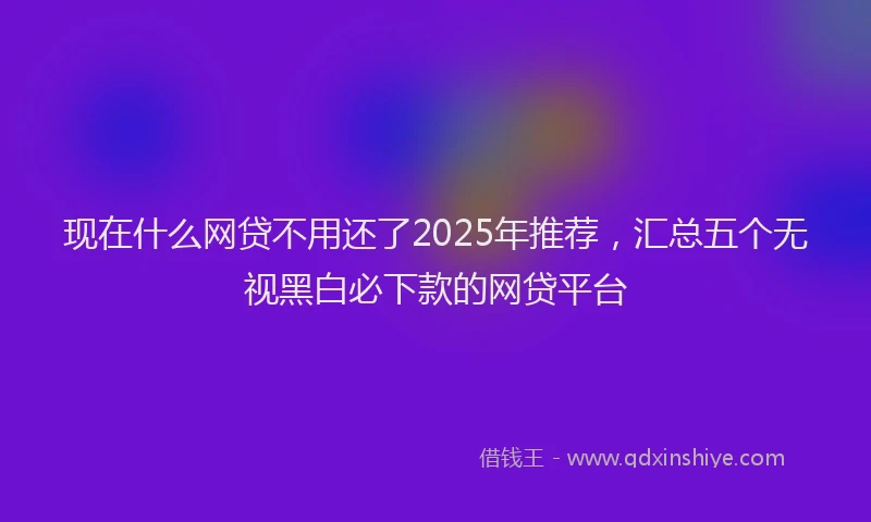 现在什么网贷不用还了2025年推荐，汇总五个无视黑白必下款的网贷平台