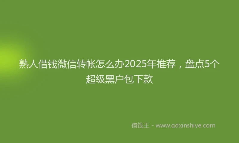 熟人借钱微信转帐怎么办2025年推荐，盘点5个超级黑户包下款