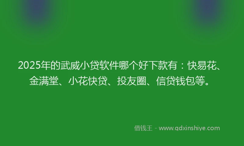 2025年的武威小贷软件哪个好下款有：快易花、金满堂、小花快贷、投友圈、信贷钱包等。