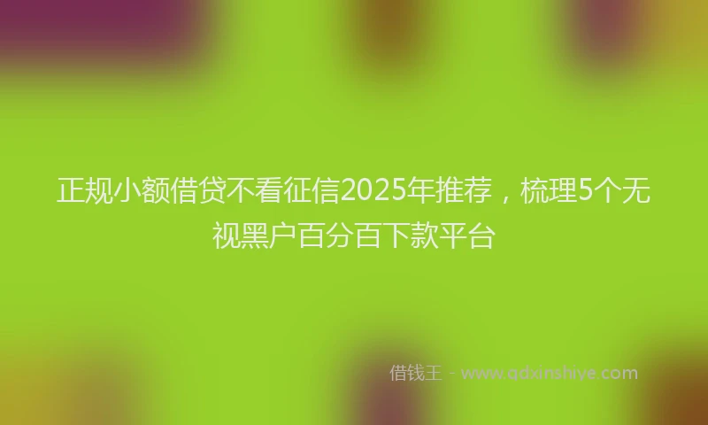 正规小额借贷不看征信2025年推荐，梳理5个无视黑户百分百下款平台