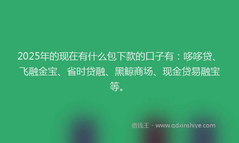 2025年的现在有什么包下款的口子有：哆哆贷、飞融金宝、省时贷融、黑鲸商场、现金贷易融宝等。