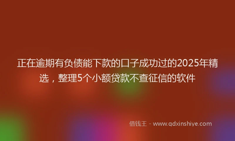 正在逾期有负债能下款的口子成功过的2025年精选，整理5个小额贷款不查征信的软件