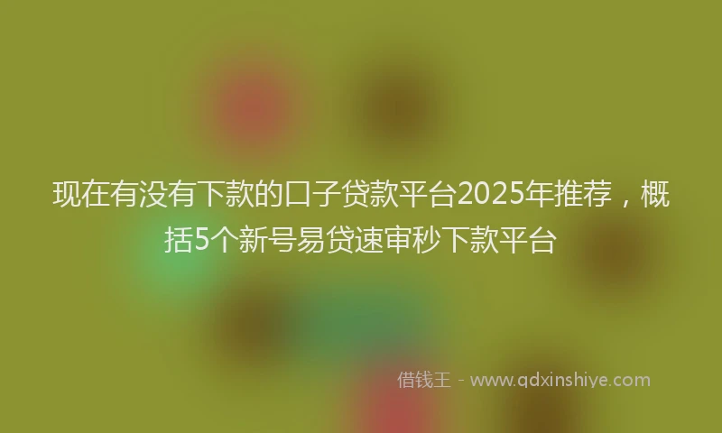 现在有没有下款的口子贷款平台2025年推荐，概括5个新号易贷速审秒下款平台