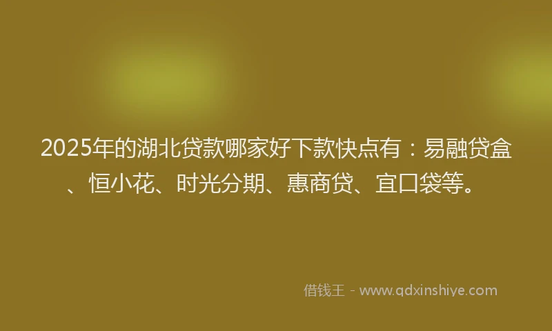 2025年的湖北贷款哪家好下款快点有：易融贷盒、恒小花、时光分期、惠商贷、宜口袋等。
