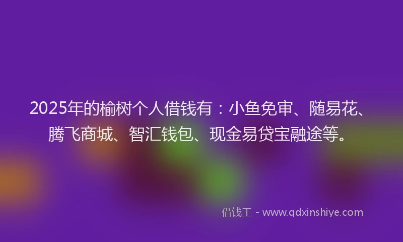 2025年的榆树个人借钱有：小鱼免审、随易花、腾飞商城、智汇钱包、现金易贷宝融途等。