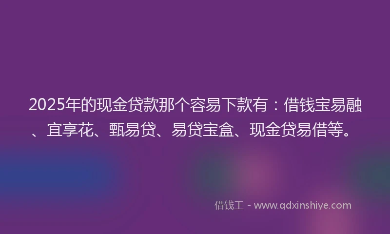 2025年的现金贷款那个容易下款有：借钱宝易融、宜享花、甄易贷、易贷宝盒、现金贷易借等。