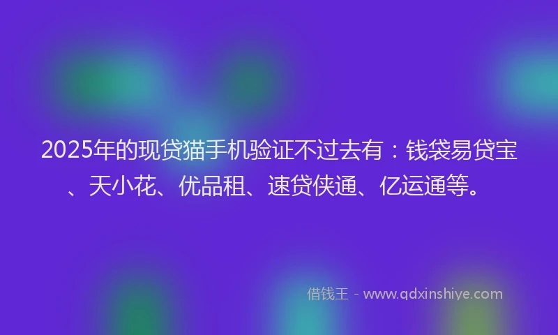 2025年的现贷猫手机验证不过去有：钱袋易贷宝、天小花、优品租、速贷侠通、亿运通等。