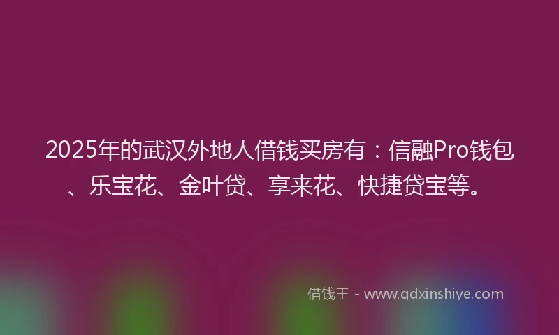2025年的武汉外地人借钱买房有：信融Pro钱包、乐宝花、金叶贷、享来花、快捷贷宝等。