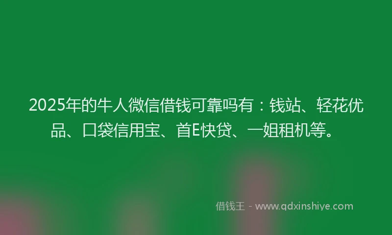 2025年的牛人微信借钱可靠吗有：钱站、轻花优品、口袋信用宝、首E快贷、一姐租机等。