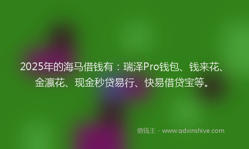 2025年的海马借钱有：瑞泽Pro钱包、钱来花、金瀛花、现金秒贷易行、快易借贷宝等。