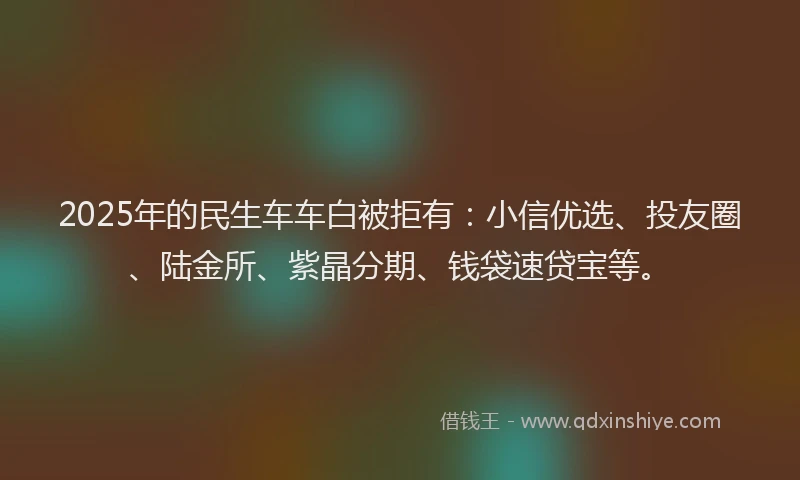 2025年的民生车车白被拒有：小信优选、投友圈、陆金所、紫晶分期、钱袋速贷宝等。