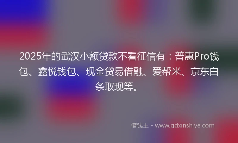 2025年的武汉小额贷款不看征信有：普惠Pro钱包、鑫悦钱包、现金贷易借融、爱帮米、京东白条取现等。