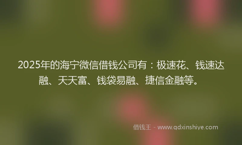 2025年的海宁微信借钱公司有：极速花、钱速达融、天天富、钱袋易融、捷信金融等。