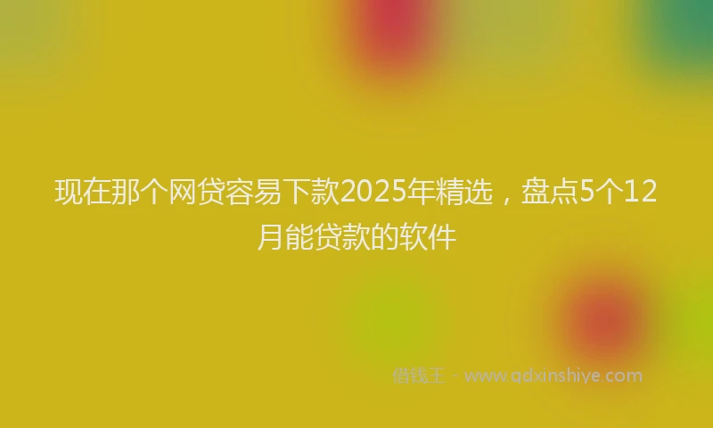现在那个网贷容易下款2025年精选，盘点5个12月能贷款的软件