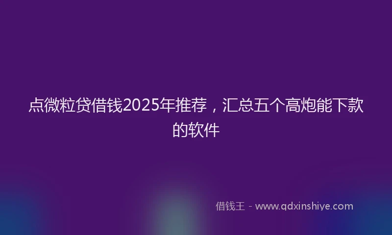 点微粒贷借钱2025年推荐，汇总五个高炮能下款的软件