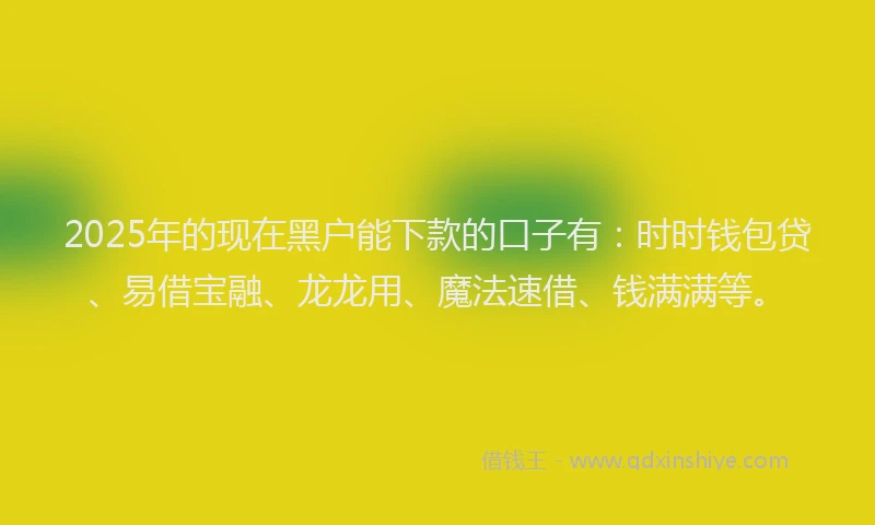 2025年的现在黑户能下款的口子有：时时钱包贷、易借宝融、龙龙用、魔法速借、钱满满等。