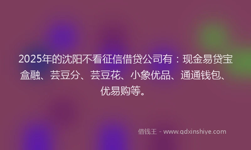 2025年的沈阳不看征信借贷公司有：现金易贷宝盒融、芸豆分、芸豆花、小象优品、通通钱包、优易购等。