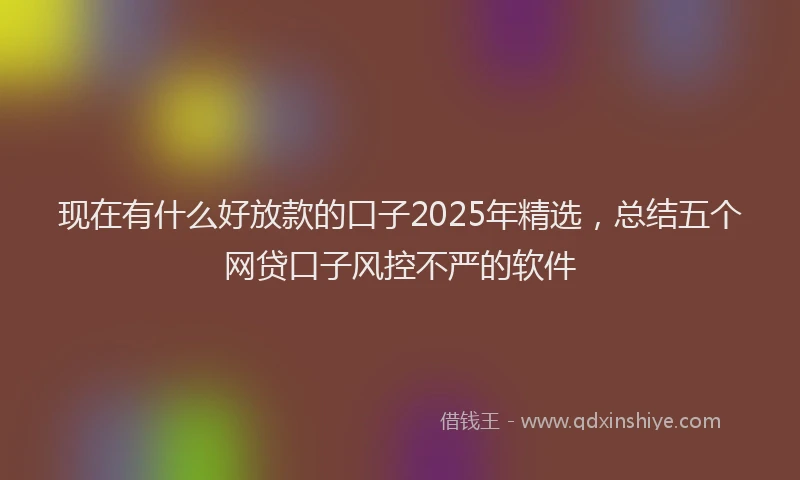 现在有什么好放款的口子2025年精选，总结五个网贷口子风控不严的软件