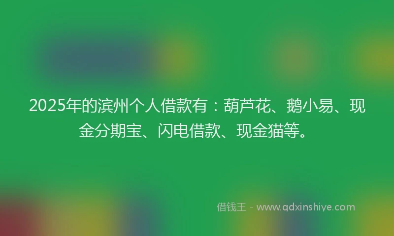 2025年的滨州个人借款有：葫芦花、鹅小易、现金分期宝、闪电借款、现金猫等。