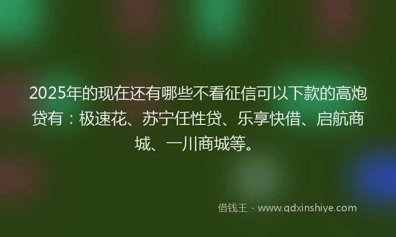 2025年的现在还有哪些不看征信可以下款的高炮贷有：极速花、苏宁任性贷、乐享快借、启航商城、一川商城等。