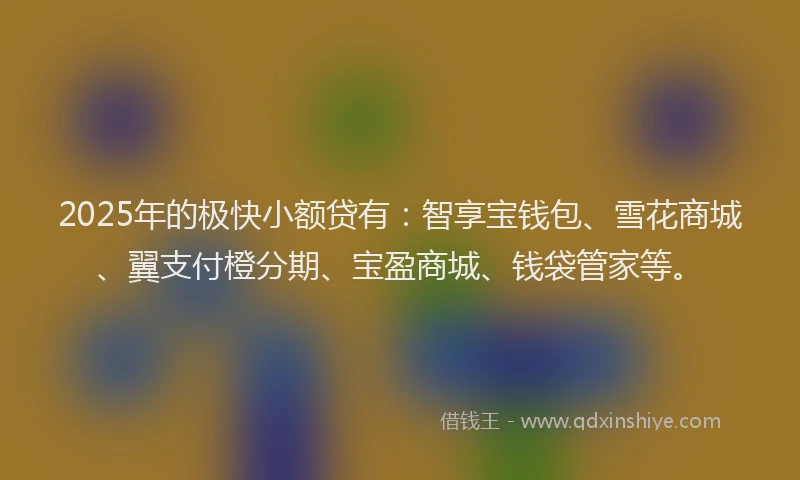 2025年的极快小额贷有：智享宝钱包、雪花商城、翼支付橙分期、宝盈商城、钱袋管家等。